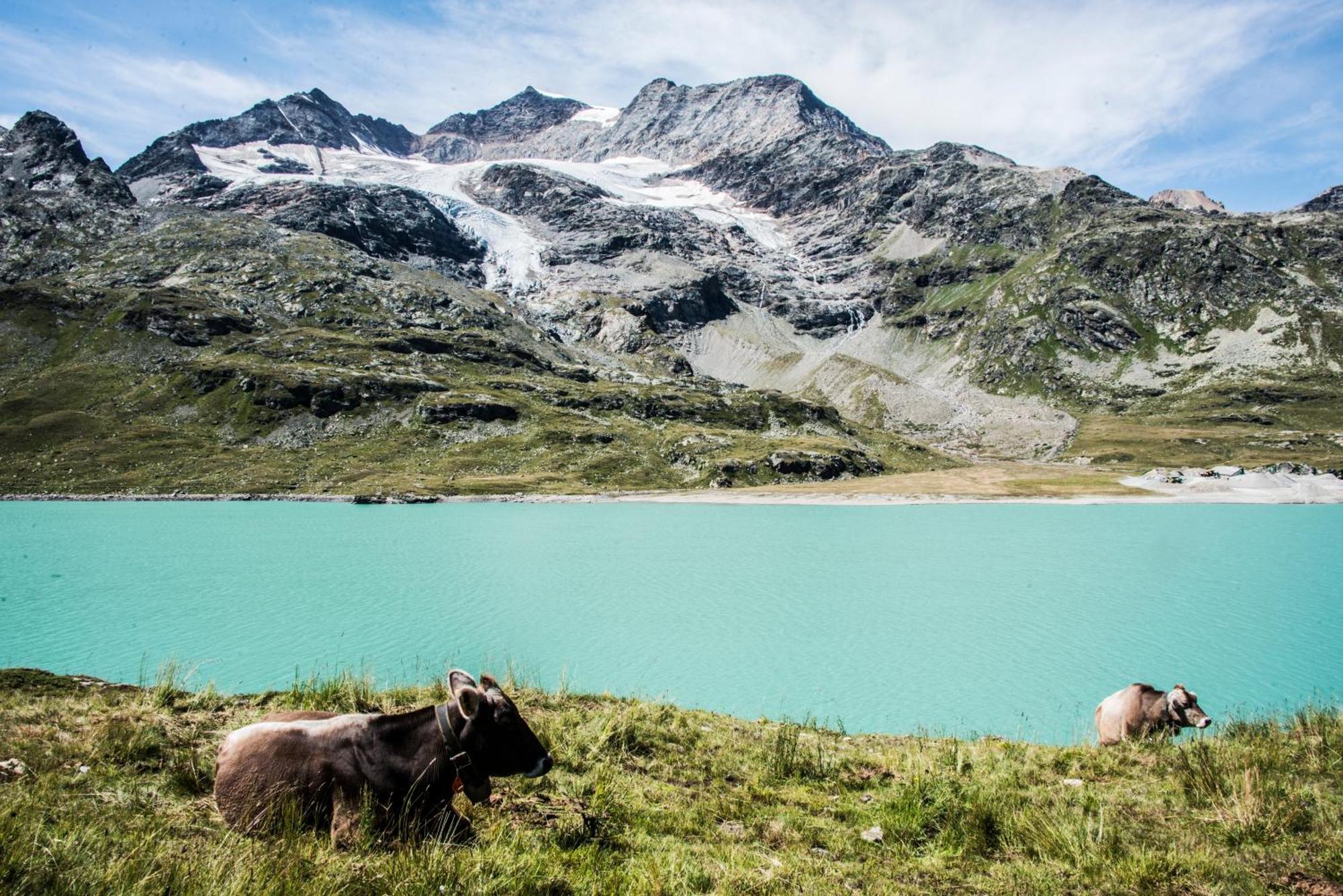 Meublè Stelvio 3* Tirano