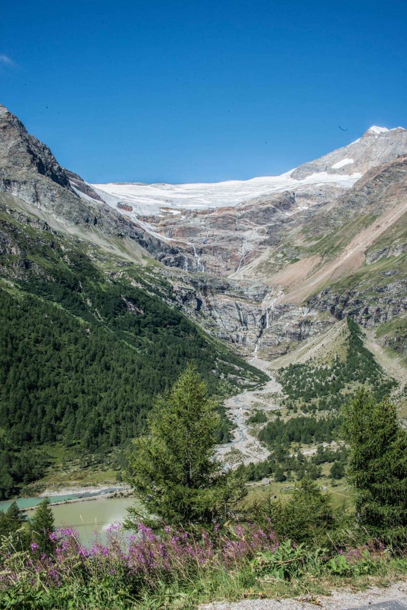Meublè Stelvio Bed & Breakfast 3*