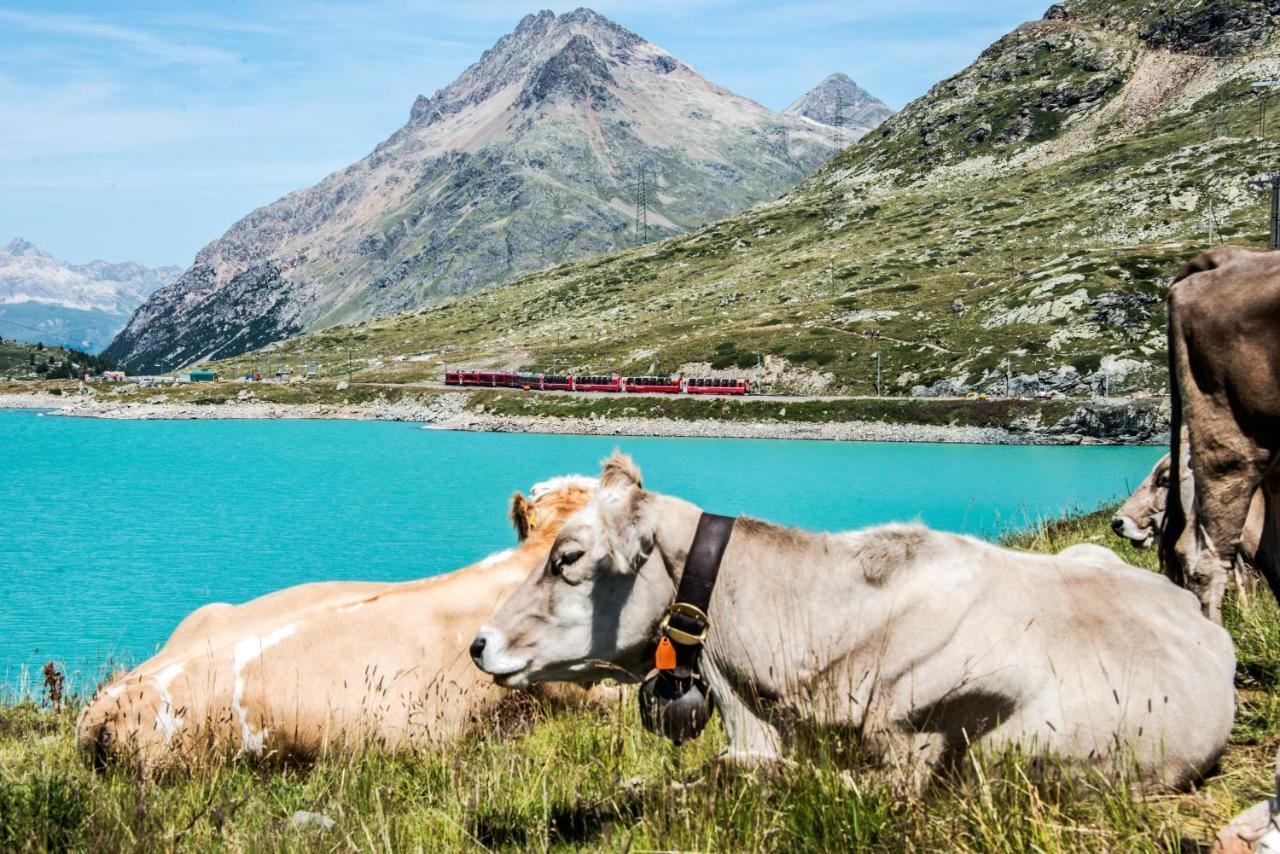 Meublè Stelvio Tirano